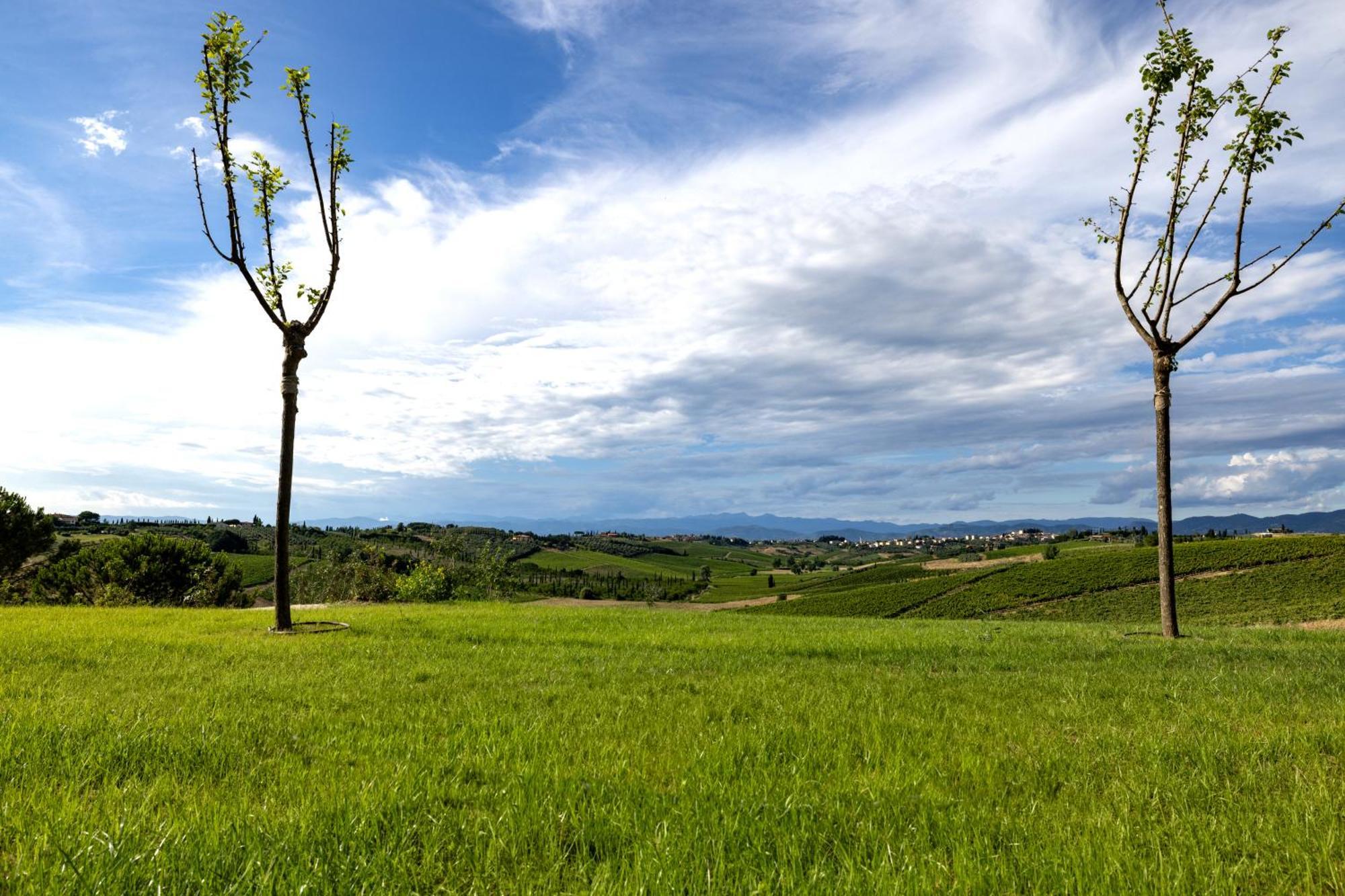 Colle Alberti Country House Cerreto Guidi Buitenkant foto