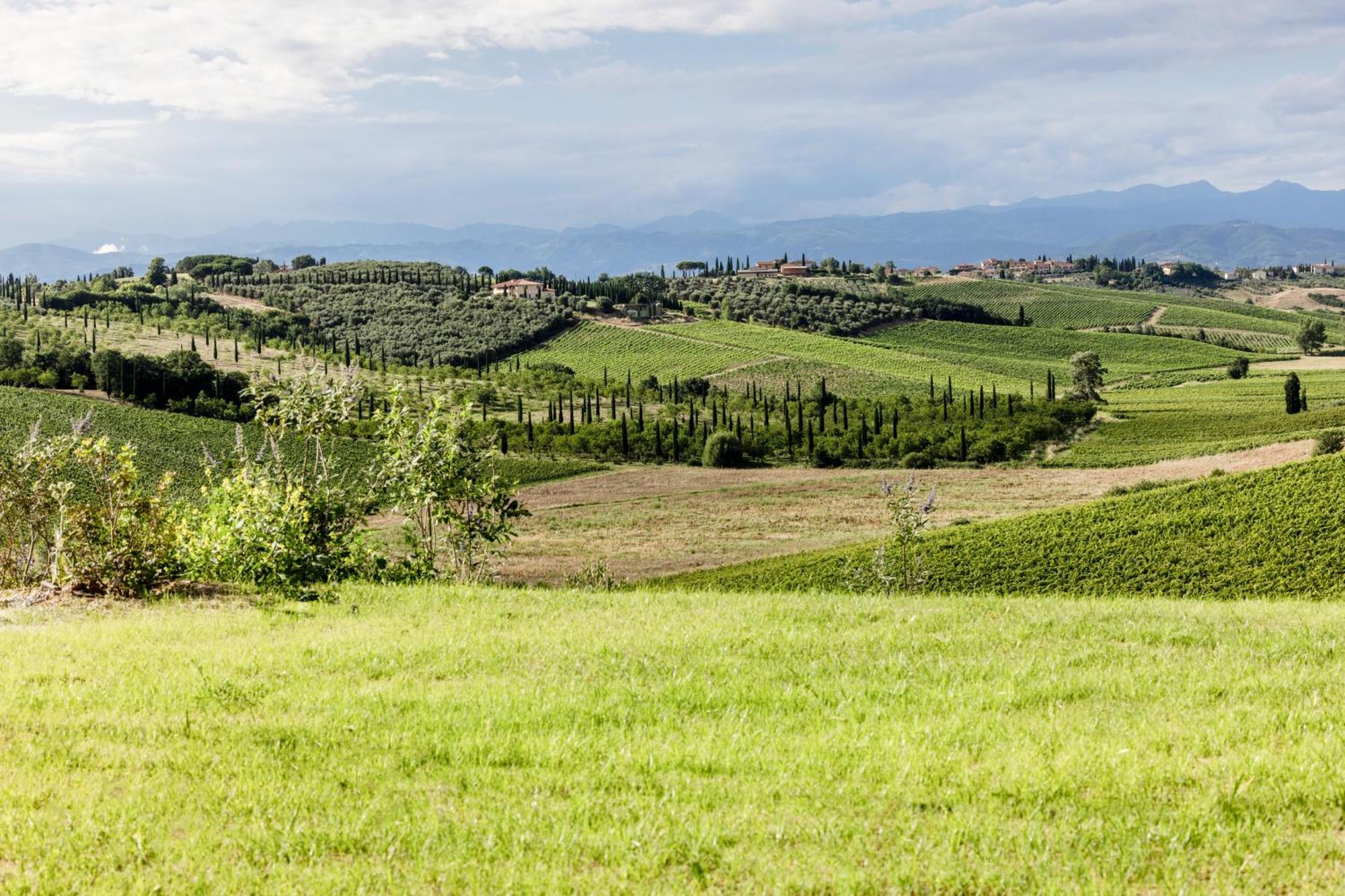 Colle Alberti Country House Cerreto Guidi Buitenkant foto